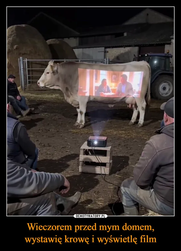 Wieczorem przed mym domem, wystawię krowę i wyświetlę film