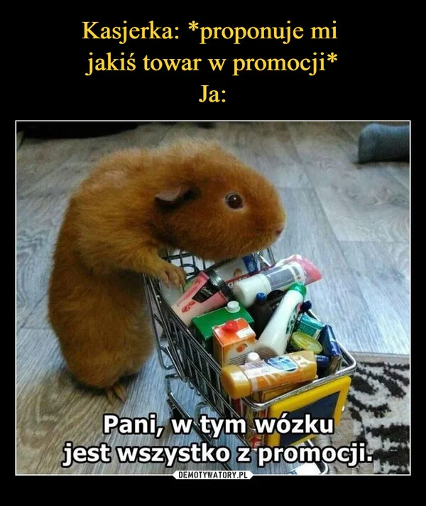 
    Kasjerka: *proponuje mi jakiś towar w promocji* Ja: