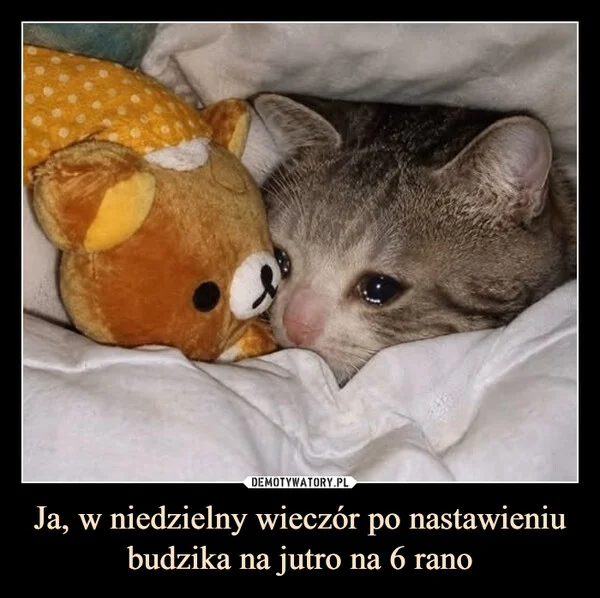 Ja, w niedzielny wieczór po nastawieniu budzika na jutro na 6 rano
