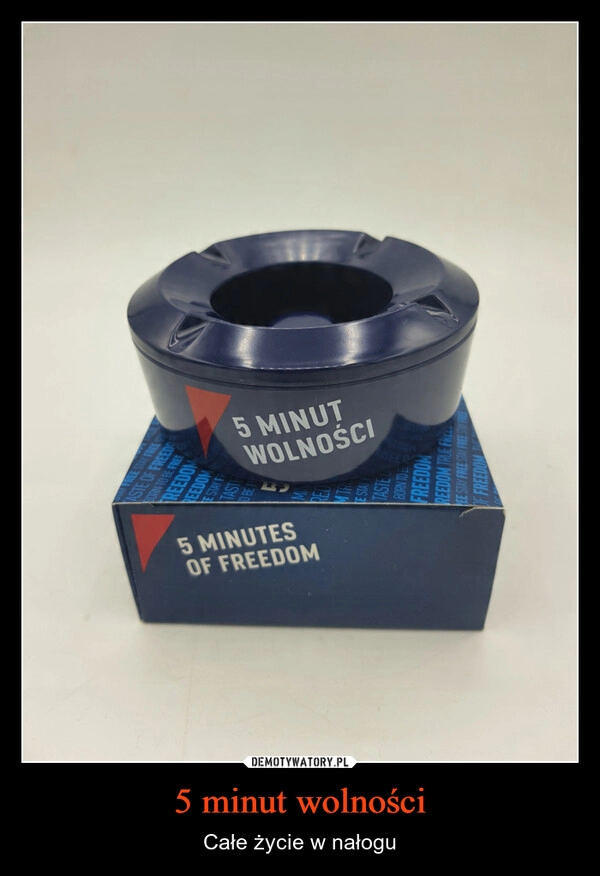 
    5 minut wolności