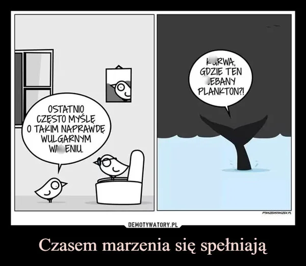 Czasem marzenia się spełniają
