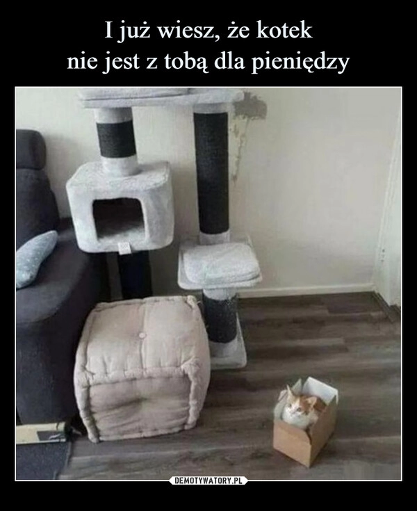 
    I już wiesz, że kotek
nie jest z tobą dla pieniędzy