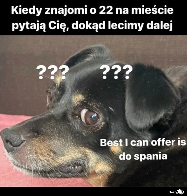 
    Koniec imprezy 