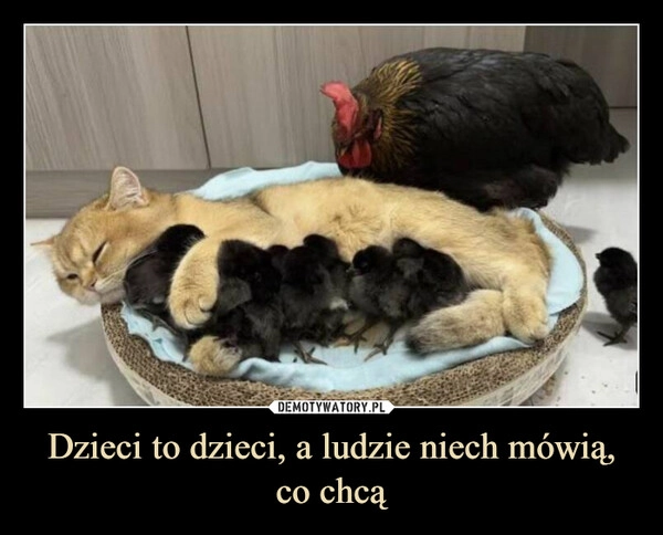 
    Dzieci to dzieci, a ludzie niech mówią, co chcą