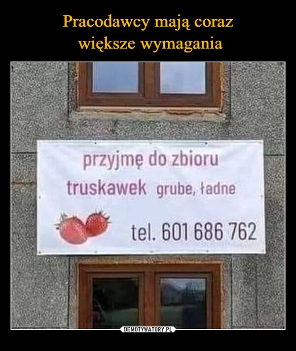 
    Pracodawcy mają coraz
 większe wymagania