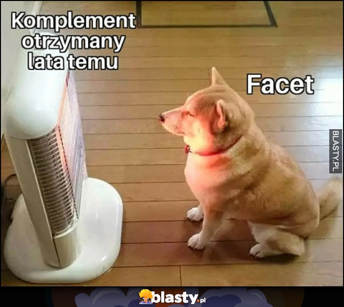 
    Komplement otrzymany lata temu vs facet pies farelka