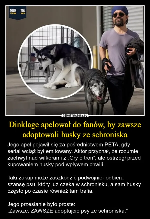 Dinklage apelował do fanów, by zawsze adoptowali husky ze schroniska