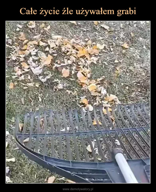 
    Całe życie źle używałem grabi