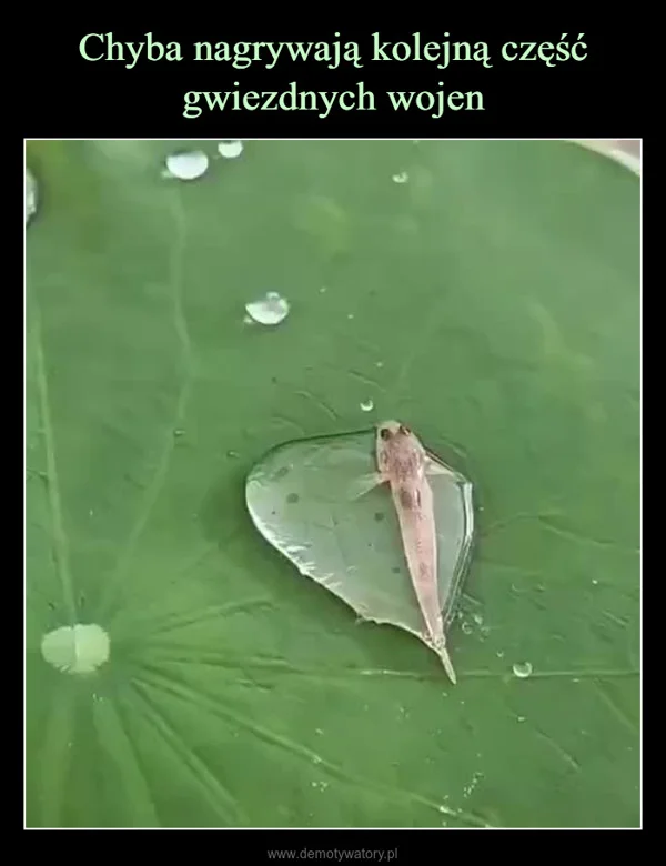 
    Chyba nagrywają kolejną część gwiezdnych wojen