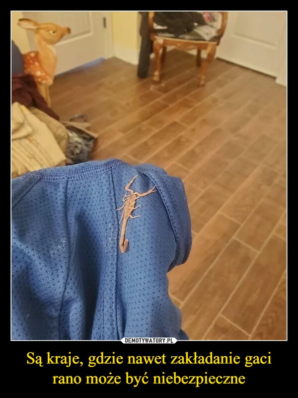 
    Są kraje, gdzie nawet zakładanie gaci rano może być niebezpieczne