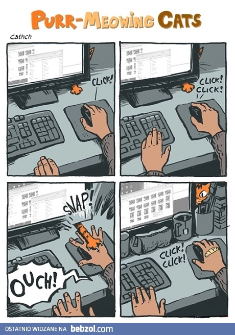 
    Kot