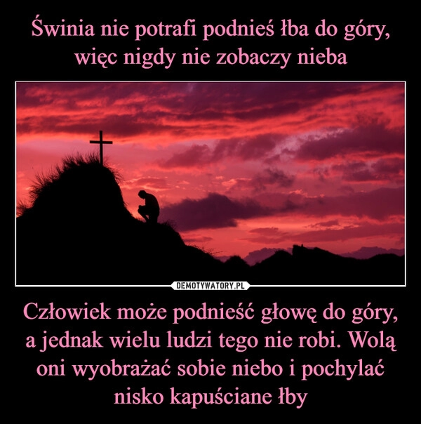 
    Świnia nie potrafi podnieś łba do góry, więc nigdy nie zobaczy nieba Człowiek może podnieść głowę do góry, a jednak wielu ludzi tego nie robi. Wolą oni wyobrażać sobie niebo i pochylać nisko kapuściane łby