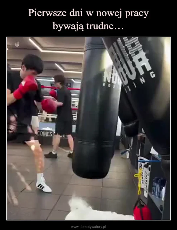 
    Pierwsze dni w nowej pracy bywają trudne…