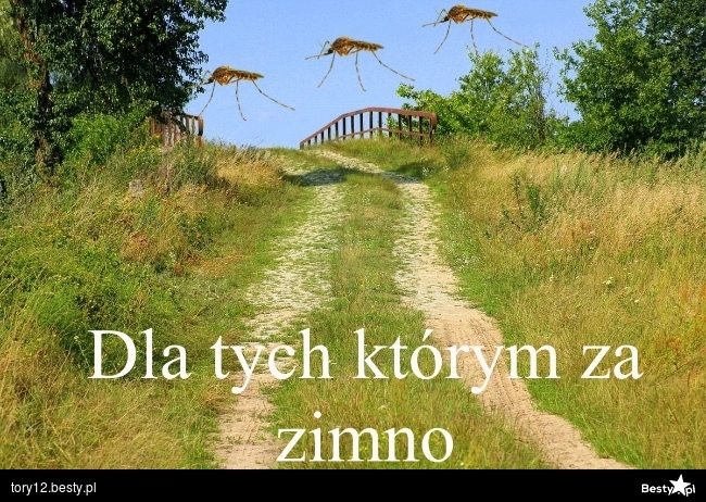 
    Za zimno?