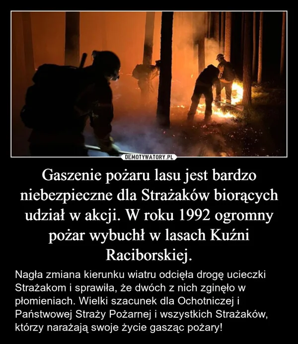 
    Gaszenie pożaru lasu jest bardzo niebezpieczne dla Strażaków biorących udział w akcji. W roku 1992 ogromny pożar wybuchł w lasach Kuźni Raciborskiej.