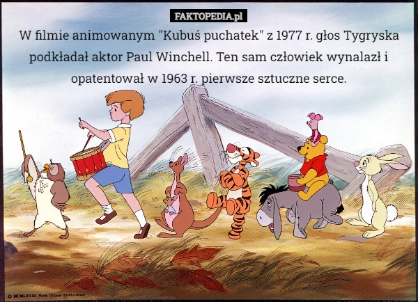 
    W filmie animowanym "Kubuś puchatek" z 1977 r. głos Tygryska podkładał