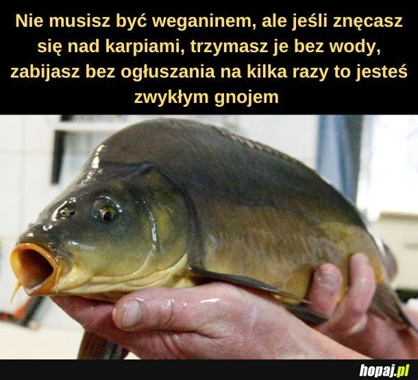 
    Karp. 