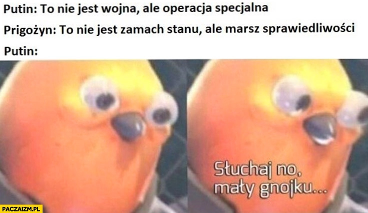 
    Putin to nie wojna ale operacja specjalna Prigożyn to nie zamach stanu ale marsz sprawiedliwości, Putin słuchaj no mały gnojku