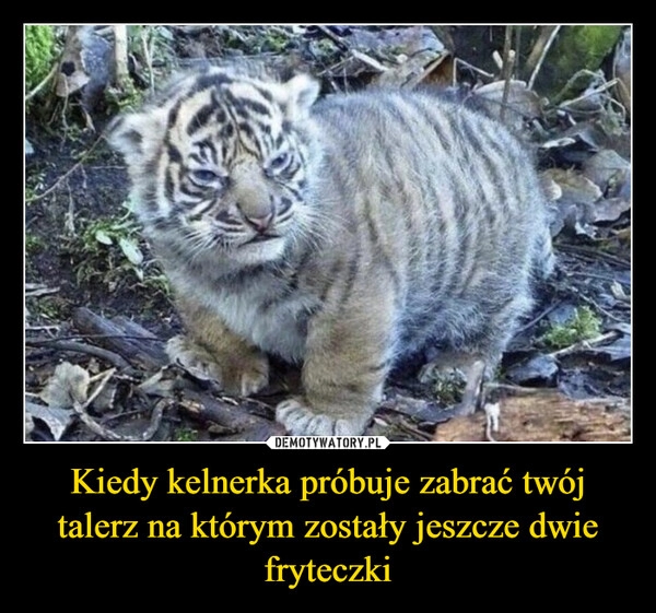 
    Kiedy kelnerka próbuje zabrać twój talerz na którym zostały jeszcze dwie fryteczki