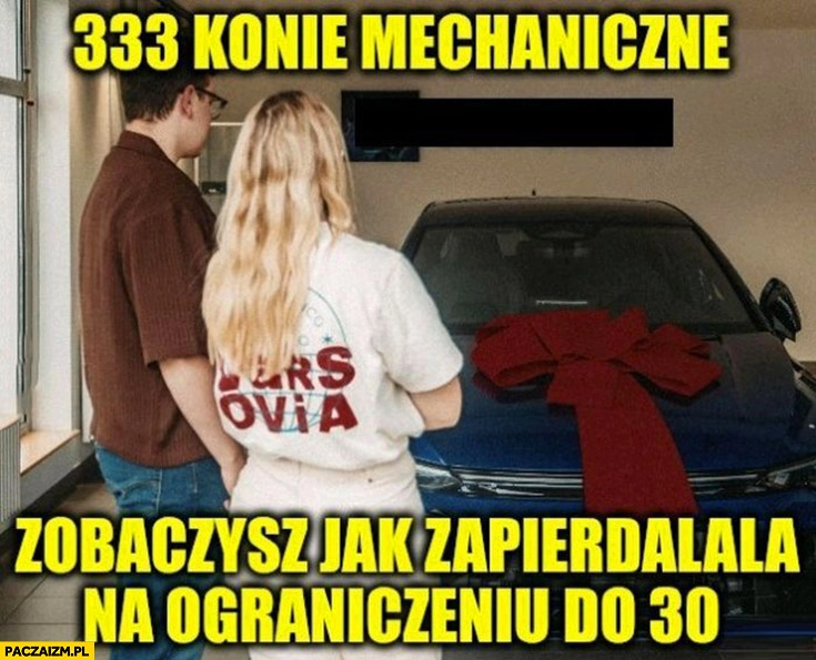 
    Hubert B. 333 konie mechaniczne zobaczysz jak zapierdziela na ograniczeniu do 30