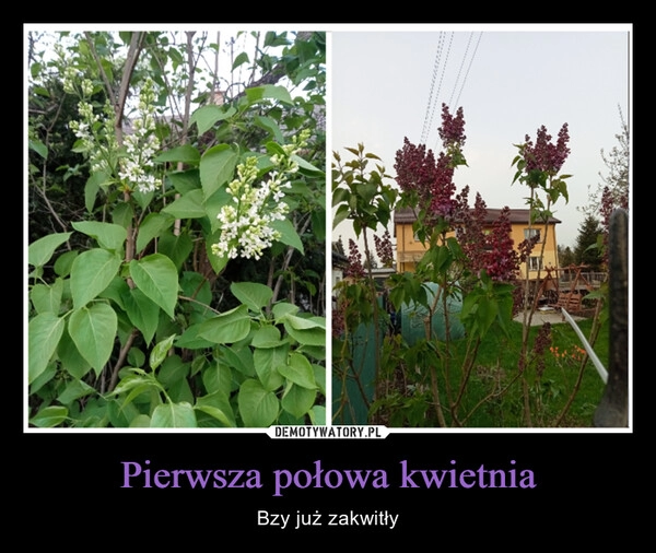 
    Pierwsza połowa kwietnia