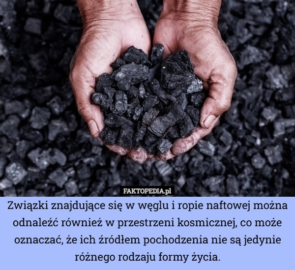 
    Związki znajdujące się w węglu i ropie naftowej można odnaleźć również w