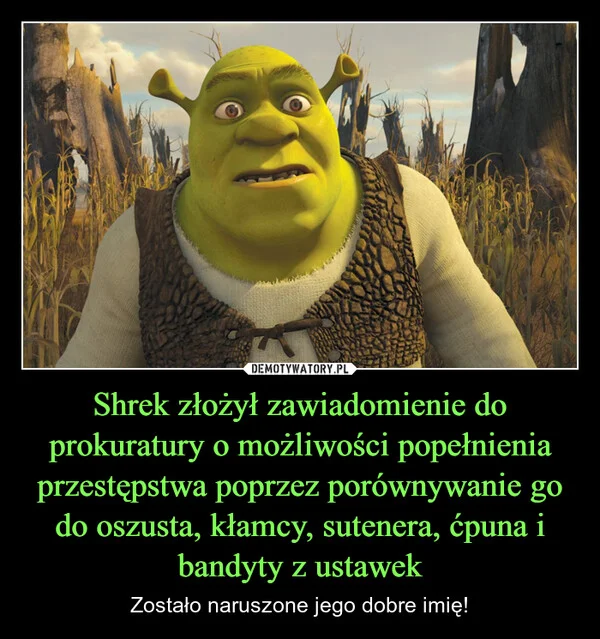 
    Shrek złożył zawiadomienie do prokuratury o możliwości popełnienia przestępstwa poprzez porównywanie go do oszusta, kłamcy, sutenera, ćpuna i bandyty z ustawek