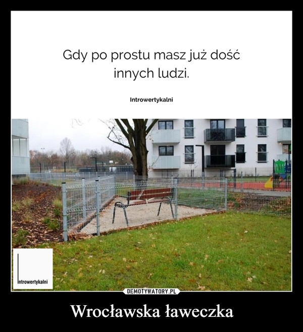 
    
Wrocławska ławeczka 