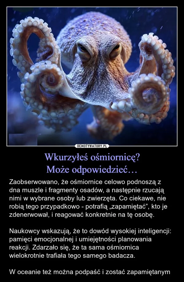 
    Wkurzyłeś ośmiornicę? Może odpowiedzieć…