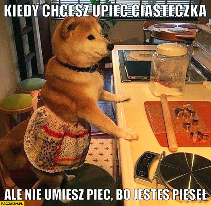 
    Kiedy chcesz upiec ciasteczka, ale nie umiesz piec bo jesteś pieseł pies kucharz