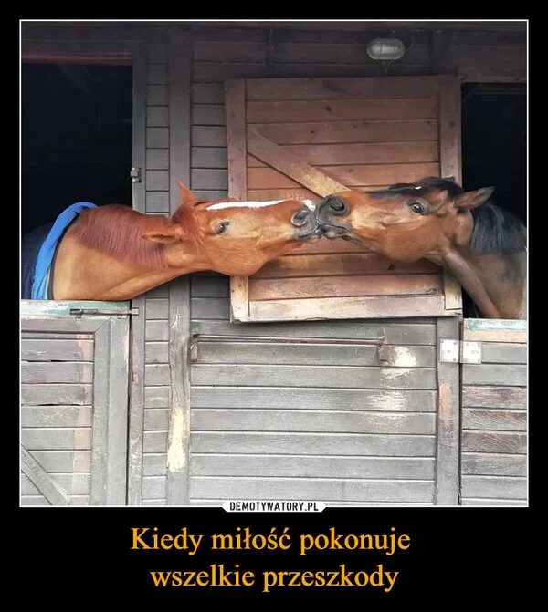 
    Kiedy miłość pokonuje wszelkie przeszkody
