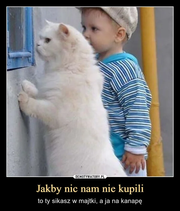 
    Jakby nic nam nie kupili
