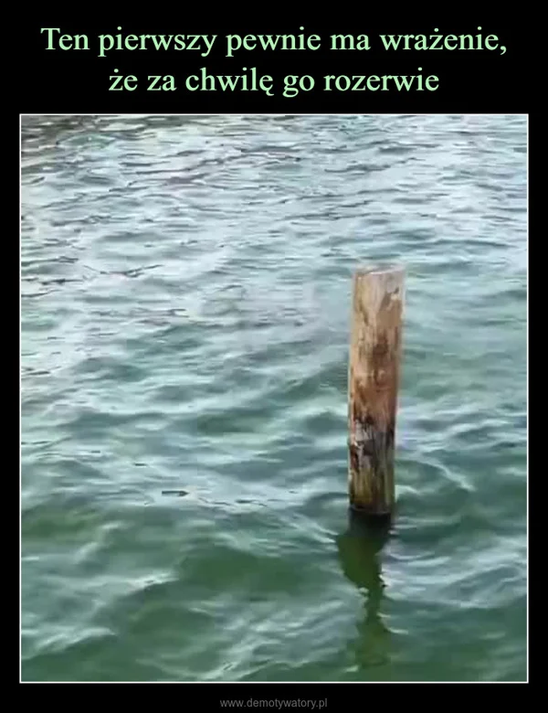 
    Ten pierwszy pewnie ma wrażenie, że za chwilę go rozerwie