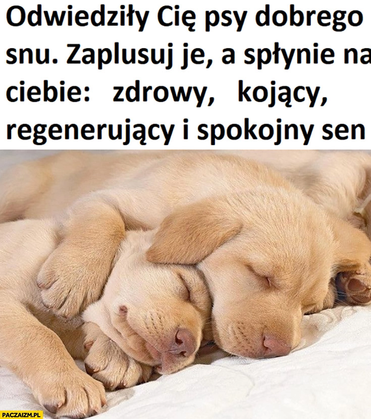 
    Odwiedziły Cię psy dobrego snu zaplusuj je a spłynie na ciebie zdrowy, kojący, regenerujący i spokojny sen
