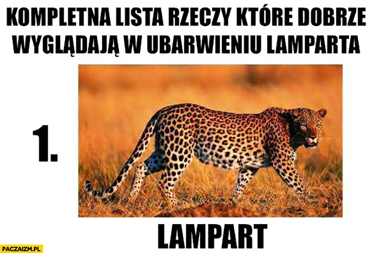 
    Kompletna lista rzeczy które dobrze wyglądają w ubarwieniu lamparta: lampart