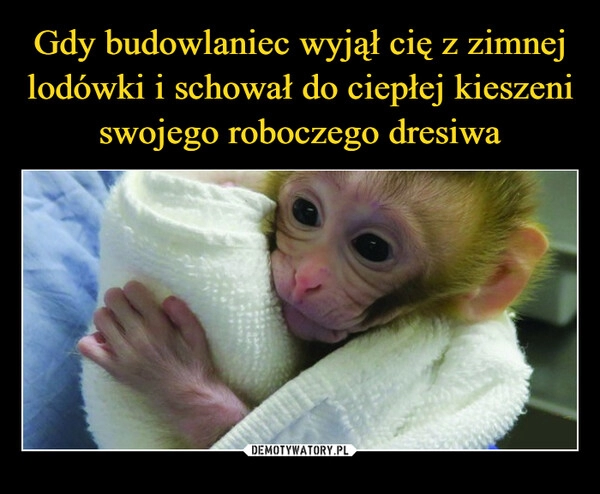 
    Gdy budowlaniec wyjął cię z zimnej lodówki i schował do ciepłej kieszeni swojego roboczego dresiwa