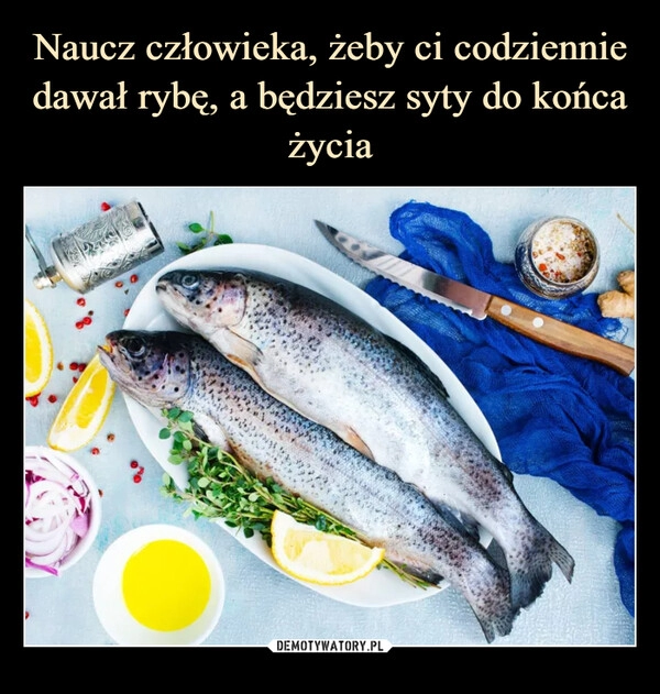 
    
Naucz człowieka, żeby ci codziennie dawał rybę, a będziesz syty do końca życia 