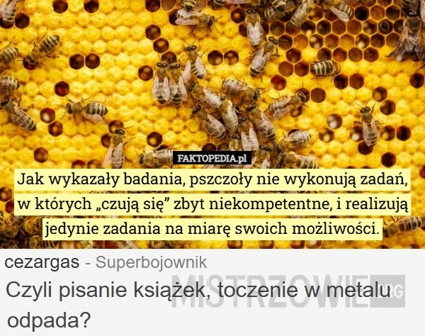 
    Pszczoły