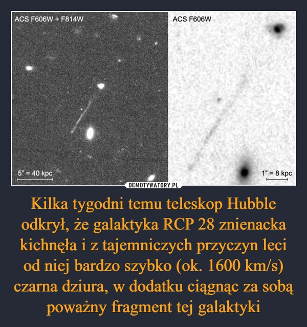 
    Kilka tygodni temu teleskop Hubble odkrył, że galaktyka RCP 28 znienacka kichnęła i z tajemniczych przyczyn leci od niej bardzo szybko (ok. 1600 km/s) czarna dziura, w dodatku ciągnąc za sobą poważny fragment tej galaktyki