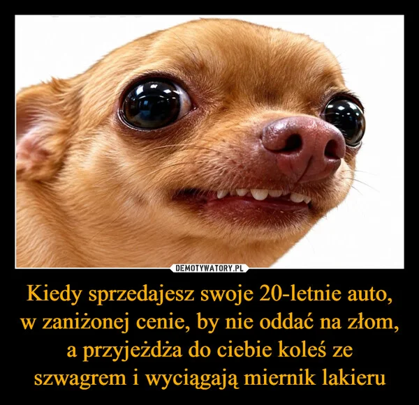Kiedy sprzedajesz swoje 20-letnie auto, w zaniżonej cenie, by nie oddać na złom, a przyjeżdża do ciebie koleś ze szwagrem i wyciągają miernik lakieru