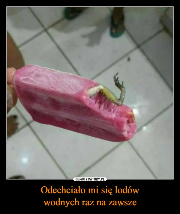 
    Odechciało mi się lodów wodnych raz na zawsze