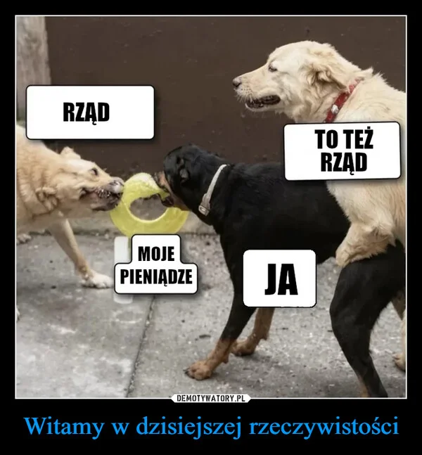 
    Witamy w dzisiejszej rzeczywistości