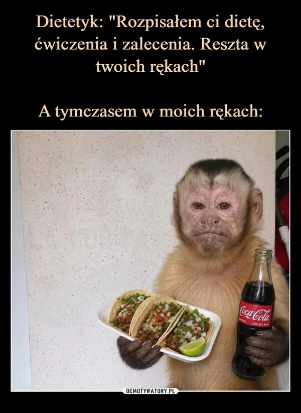 
    Dietetyk: 