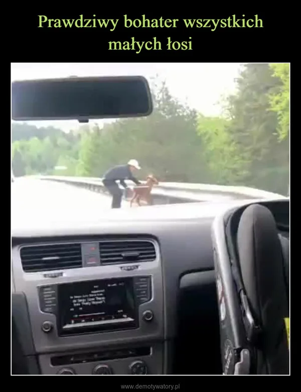 
    Prawdziwy bohater wszystkich małych łosi