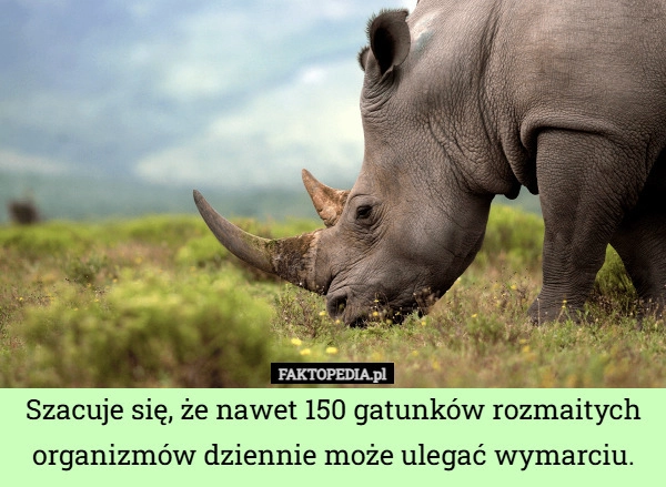 
    Szacuje się, że nawet 150 gatunków rozmaitych organizmów dziennie może ulegać