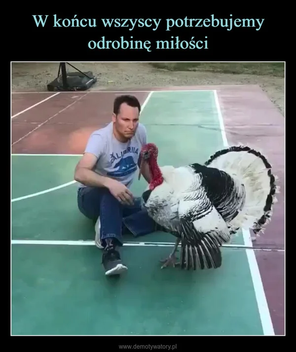 
    W końcu wszyscy potrzebujemy odrobinę miłości