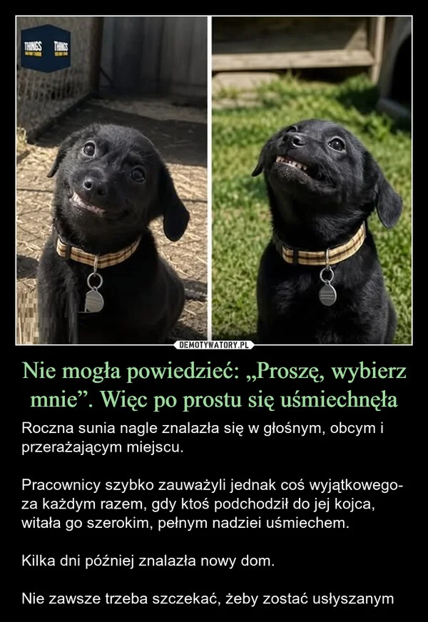 Nie mogła powiedzieć: „Proszę, wybierz mnie”. Więc po prostu się uśmiechnęła