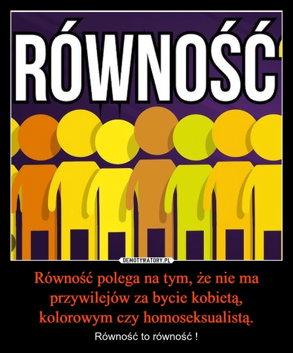 
    Równość polega na tym, że nie ma przywilejów za bycie kobietą, kolorowym czy homoseksualistą.