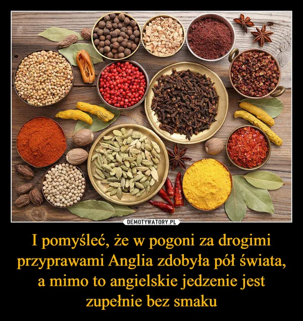 
    I pomyśleć, że w pogoni za drogimi przyprawami Anglia zdobyła pół świata, a mimo to angielskie jedzenie jest zupełnie bez smaku