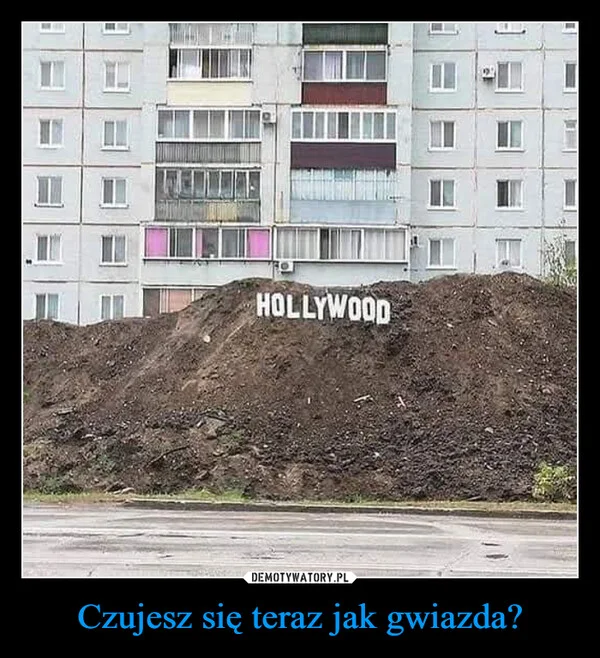 
    Czujesz się teraz jak gwiazda?